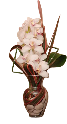 Vase Arrangement Orchid Medium
