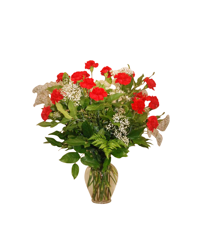 Vase Arrangement 24 Carnations